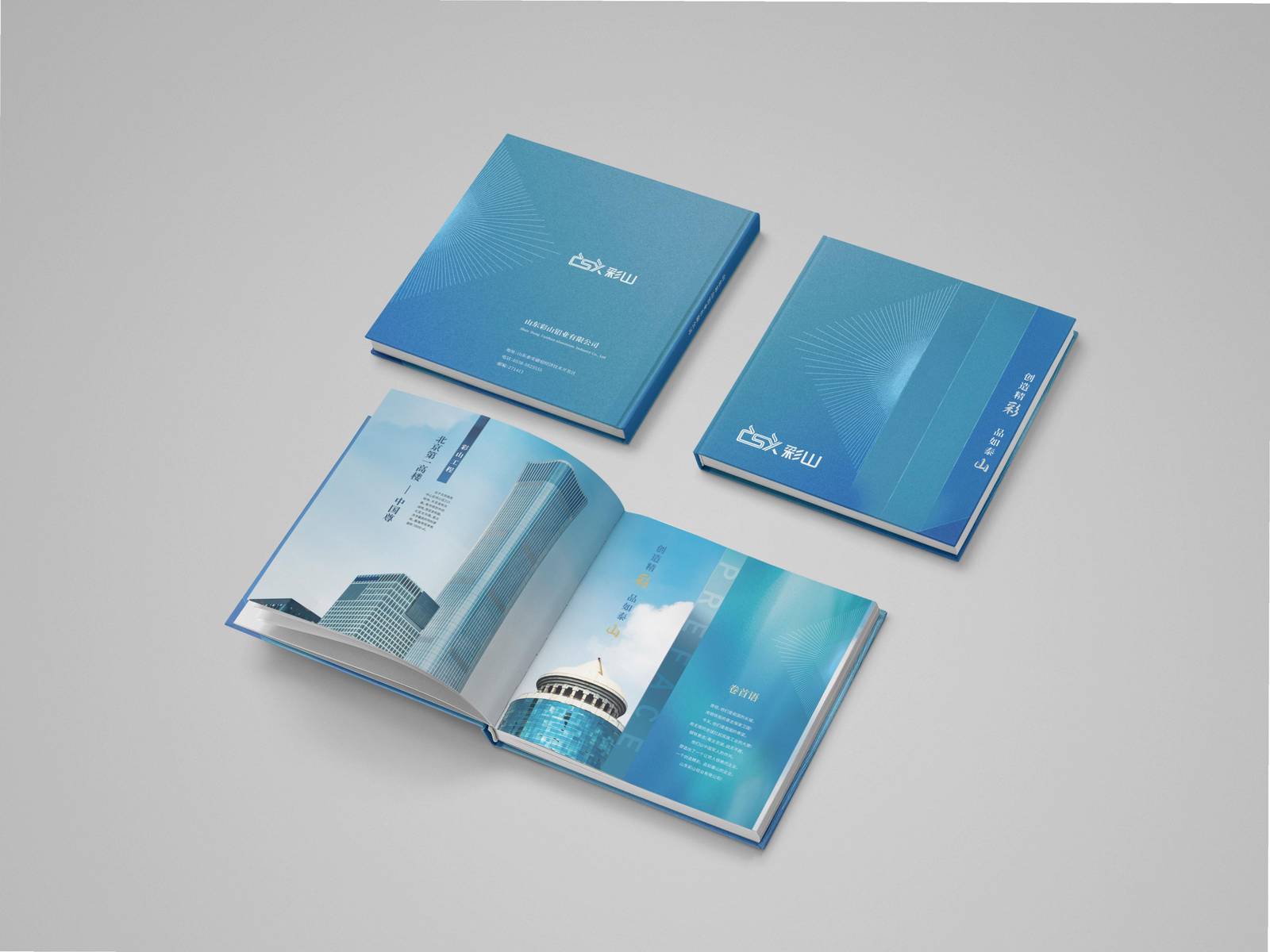 彩山铝业企业品牌印刷宣传册-第1张
