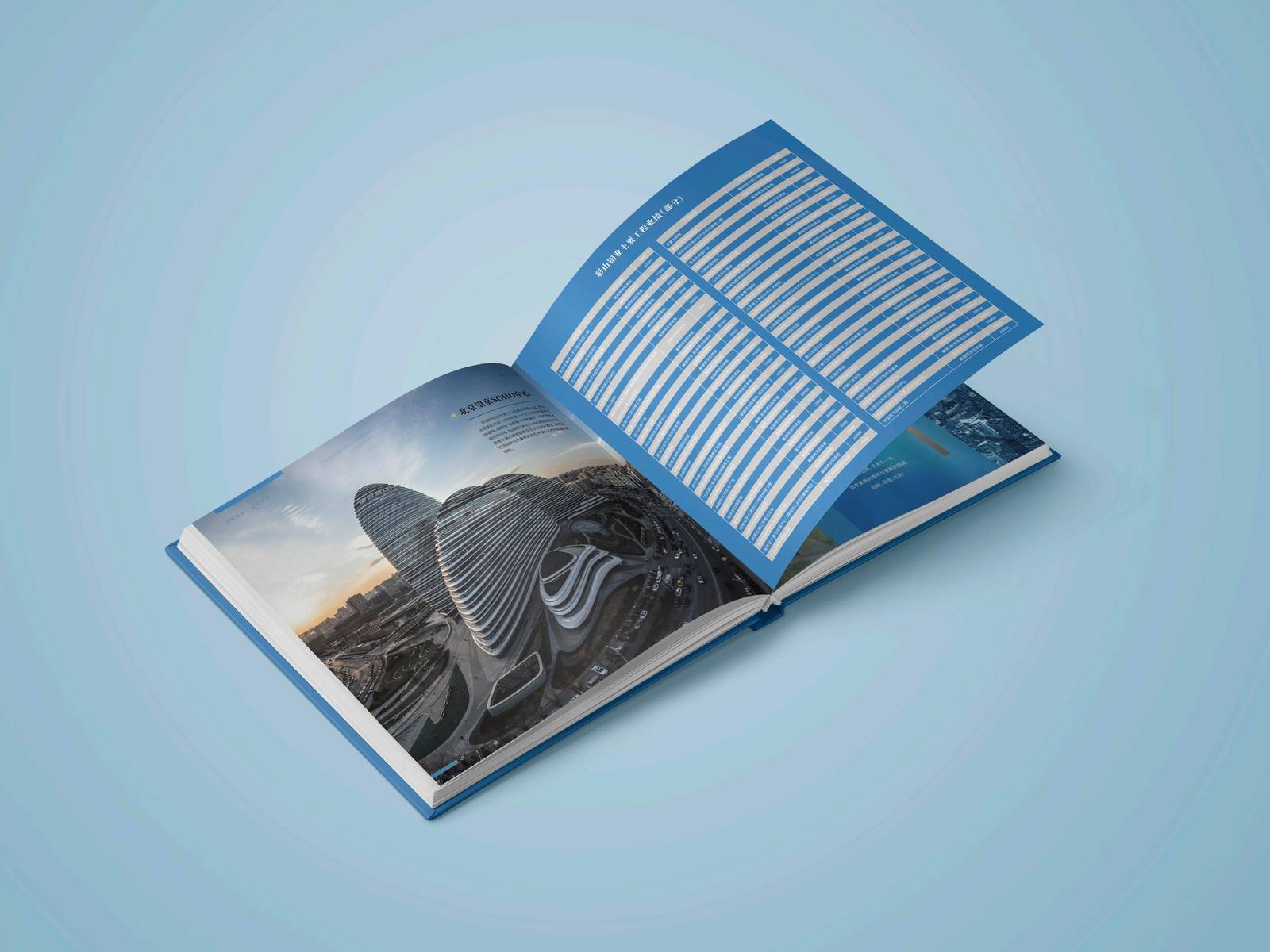 彩山铝业企业品牌印刷宣传册-第25张