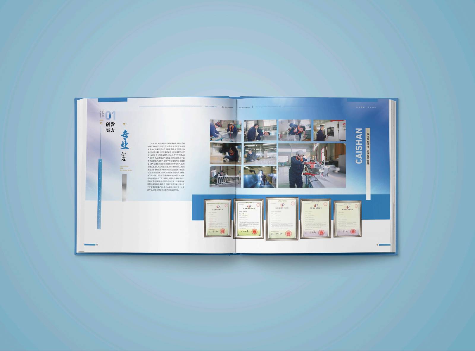 彩山铝业企业品牌印刷宣传册-第12张