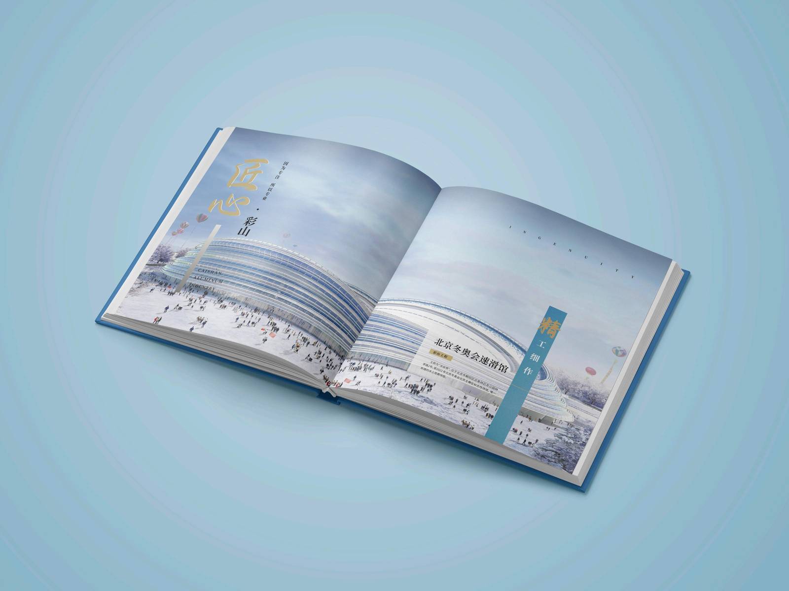 彩山铝业企业品牌印刷宣传册-第11张