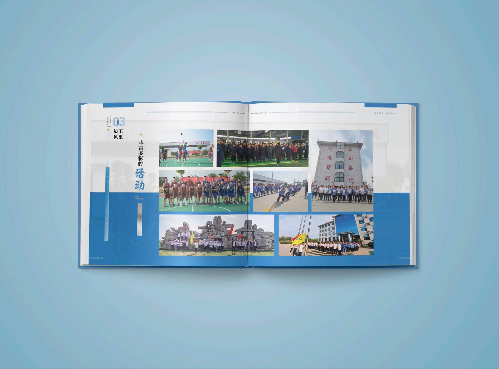 彩山铝业企业品牌印刷宣传册-第9张