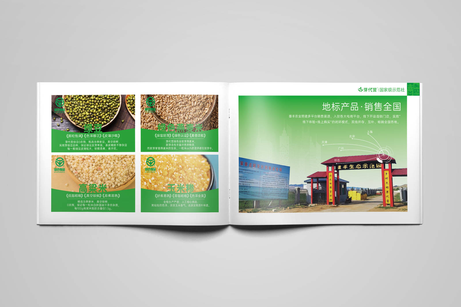 农业宣传册设计-第9张