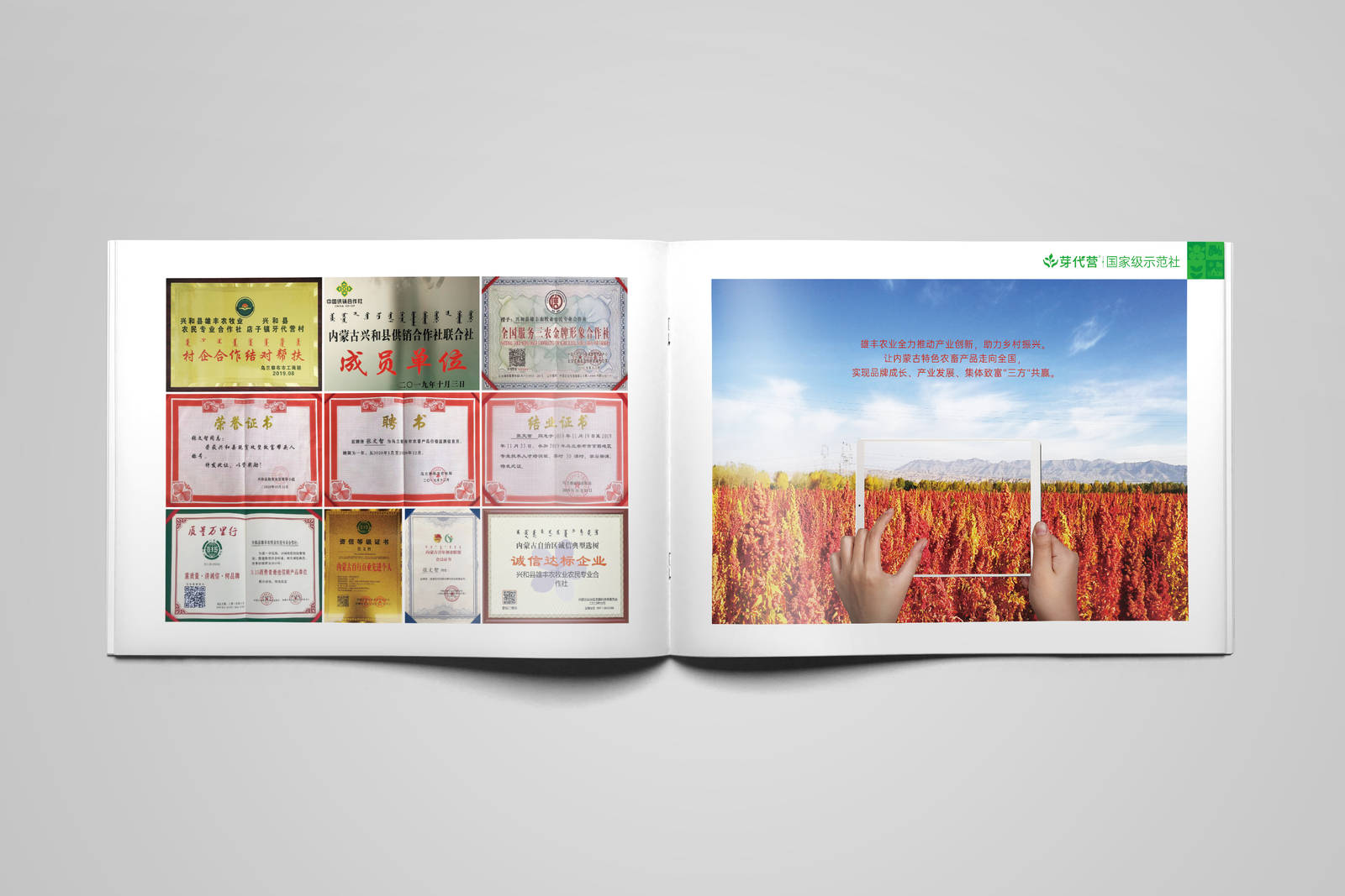 农业宣传册设计-第10张
