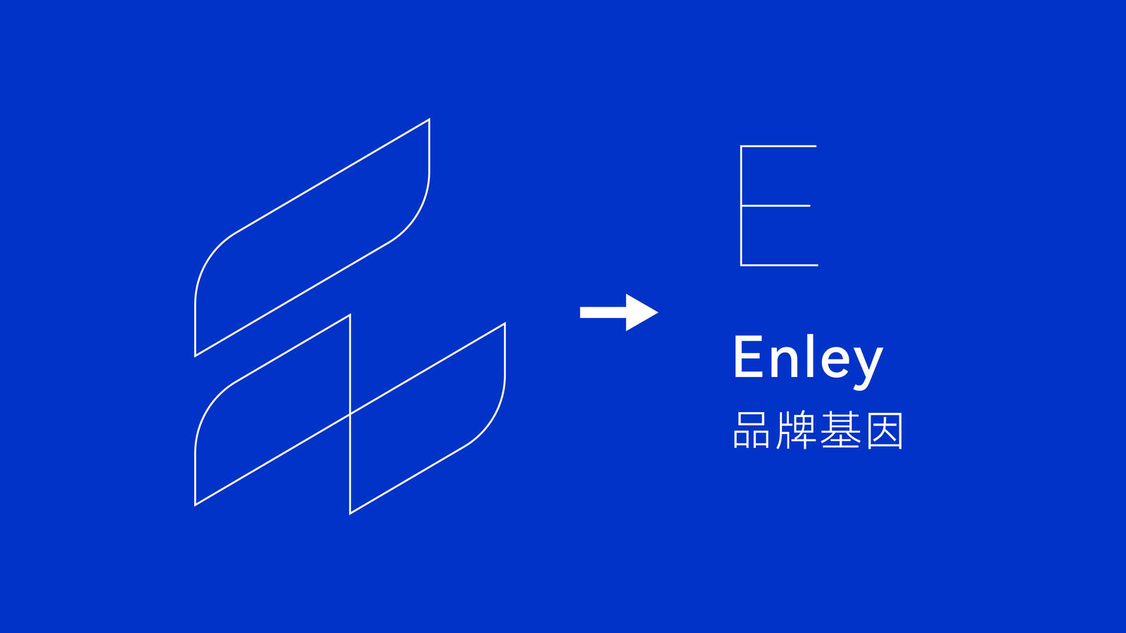 ENLEY ｜ 电力设备品牌logo设计-第15张