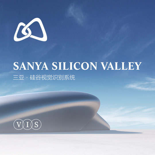 三亚硅谷地产VI设计