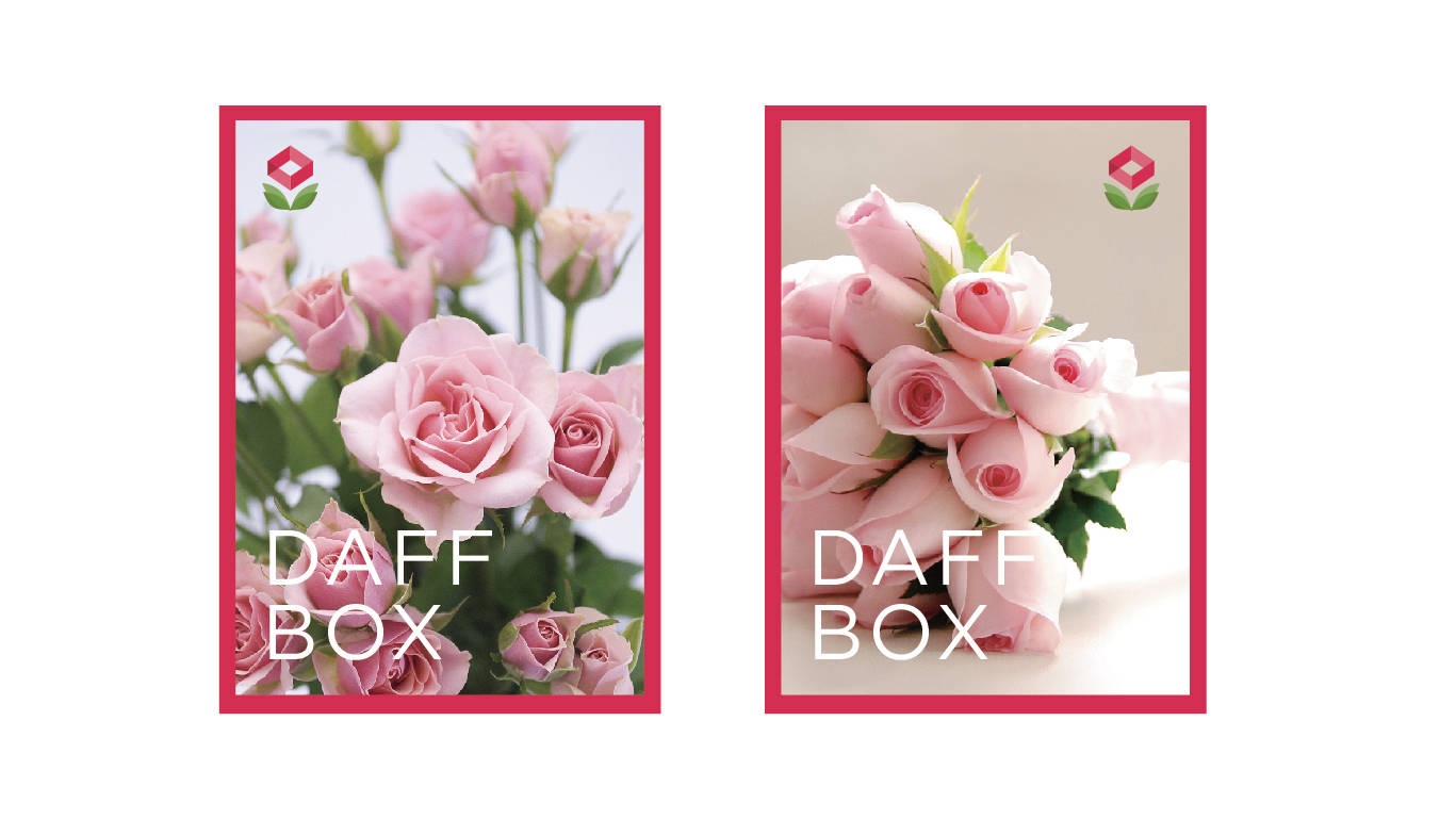 花店植物自然-daffbox品牌LOGO设计-第6张