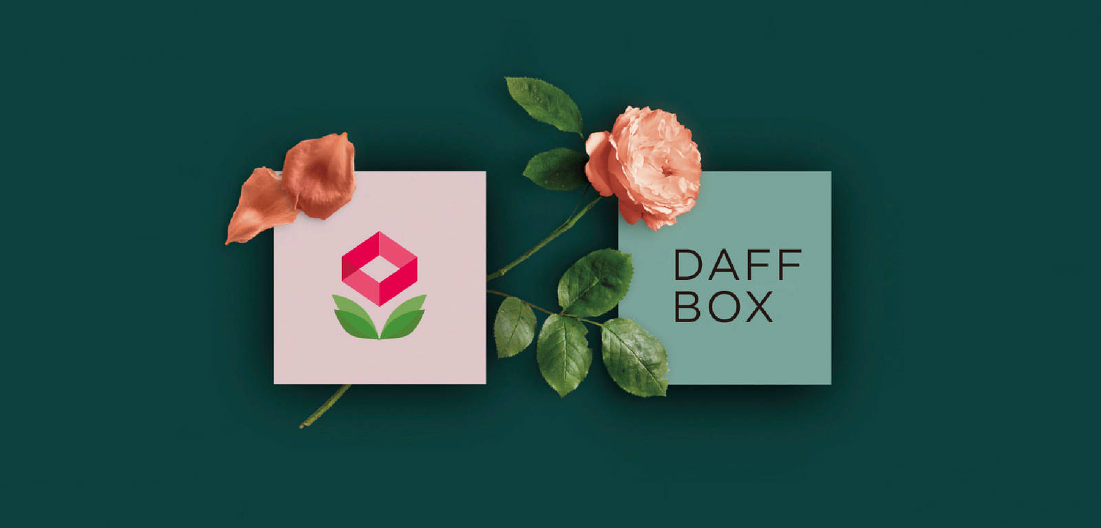 花店植物自然-daffbox品牌LOGO设计