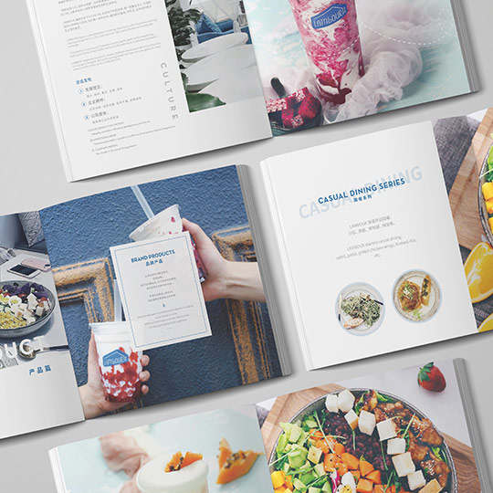 轻快餐饮品牌手册印刷类设计