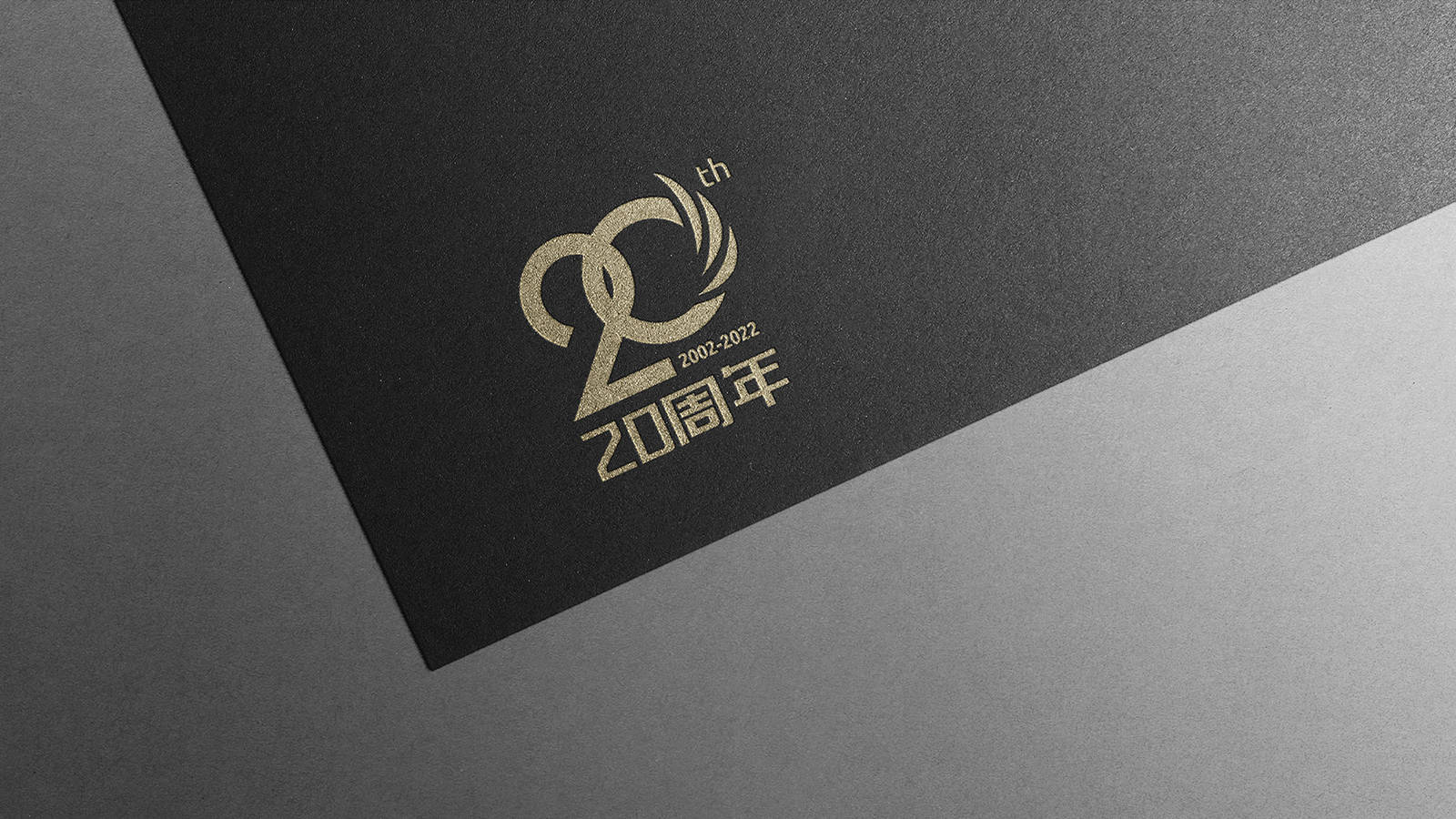 兆龙商学院20周年学校标志LOGO设计-第12张
