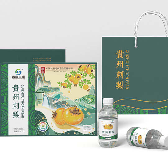 贵州刺梨系列品牌宣传包装