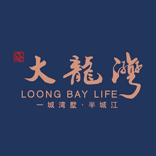 大龙湾地产标志品牌LOGO