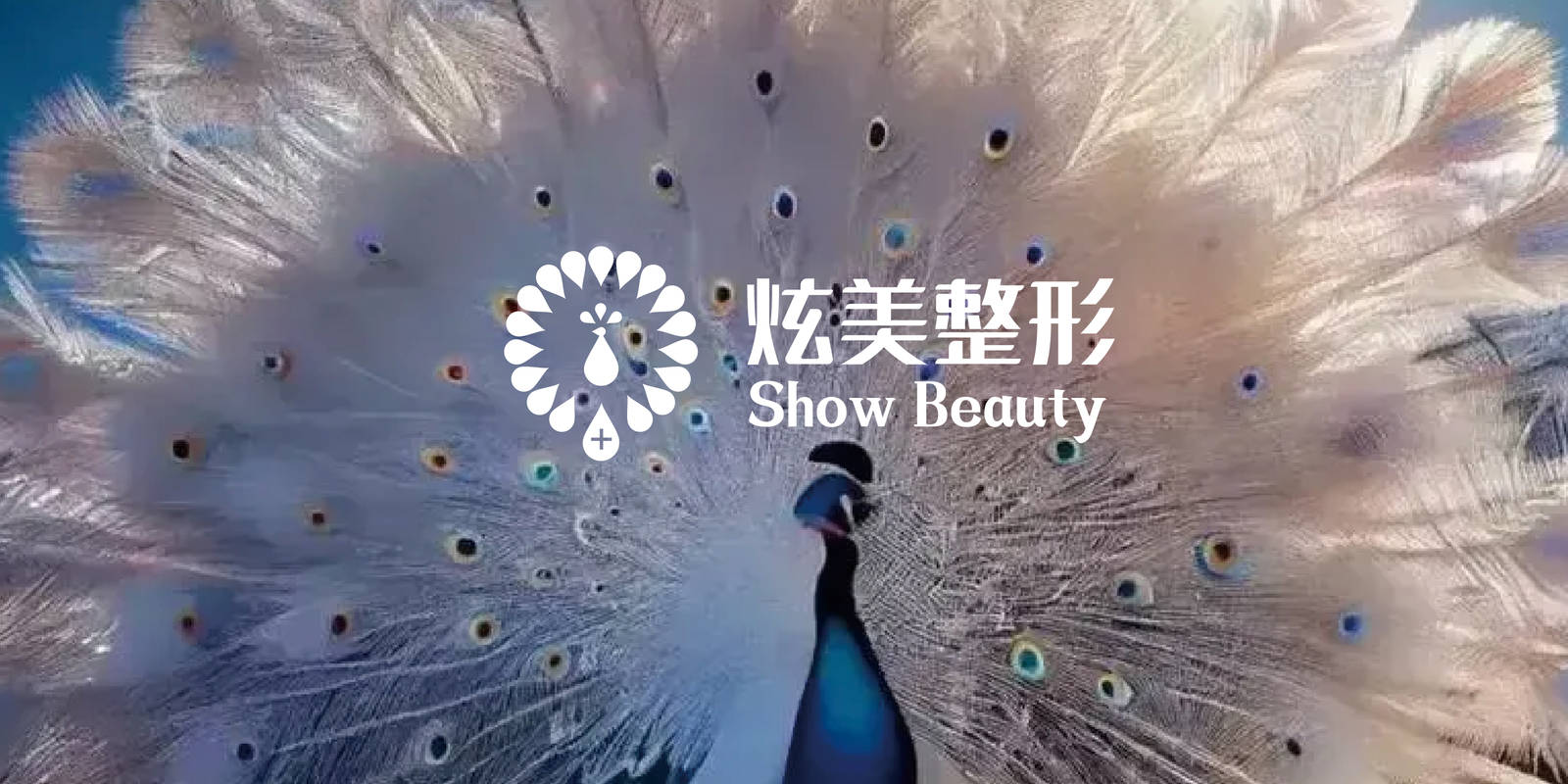 炫美整形美容机构品牌医疗LOGO